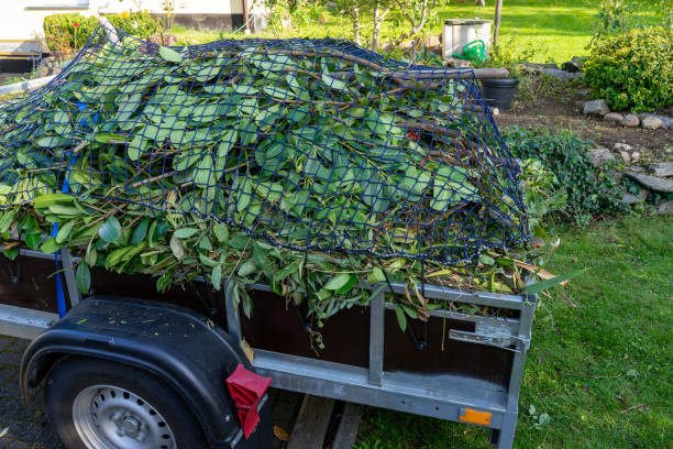 Best Carpet Removal and Disposal  in Mount Morris, MI